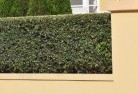 Aireys Inletbarrier-wall-fencing-2.jpg; ?>